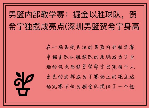 男篮内部教学赛：掘金以胜球队，贺希宁独揽成亮点(深圳男篮贺希宁身高)