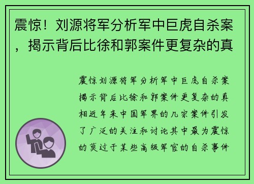 震惊！刘源将军分析军中巨虎自杀案，揭示背后比徐和郭案件更复杂的真相