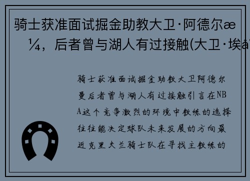 骑士获准面试掘金助教大卫·阿德尔曼，后者曾与湖人有过接触(大卫·埃尔姆)
