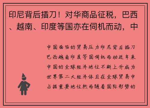 印尼背后插刀！对华商品征税，巴西、越南、印度等国亦在伺机而动，中国面临何种贸易压力？