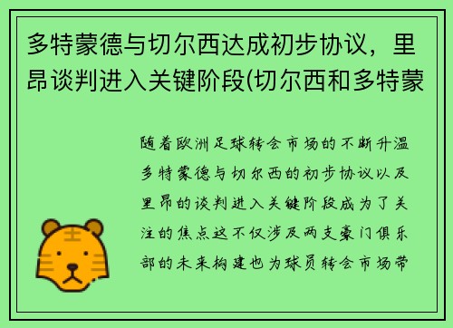 多特蒙德与切尔西达成初步协议，里昂谈判进入关键阶段(切尔西和多特蒙德交锋)